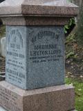image of grave number 445319